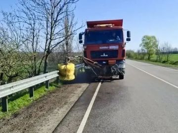 #����������_���� �� �����. ���������� ��������� �������� �������� � �������� �������� �������������� �� ������� ������ �����������