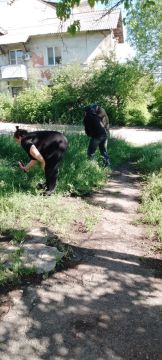 С целью приведения территории в надлежащее санитарное состояние в Кировском внутригородском районе города Макеевки силами Макеевского филиала НКО «ЕДИНЫЙ РЕГИОНАЛЬНЫЙ ФОНД ПО УПРАВЛЕНИЮ МНОГОКВАРТИРНЫМИ ДОМАМИ НА ТЕРРИТОРИИ...