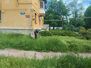 С целью приведения территории в надлежащее санитарное состояние жителями проведены работы по покосу сорных и карантинных возле дома № 13 по ул. Жукова