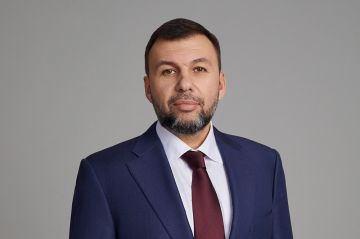 Александр Подгорный: Глава ДНР Денис Пушилин анонсировал создание в ДНР подразделения для борьбы с БПЛА