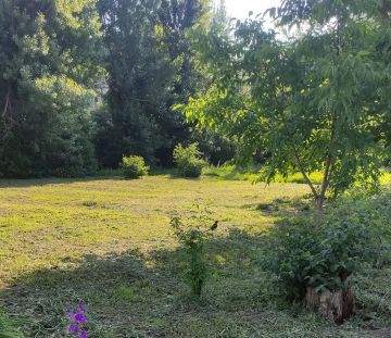 � ����� ���������� ���������� � ���������� ���������� ��������� ������ ����� �������� ���� ������������ ������ �������� � �������� �������� ��������� ������ �� ������ ������ � ����������� ���� �� ����� ����������