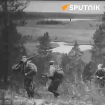 �������, 29 ���� � ������ �������� ���������� �������� ���� - ���� �������� � ������������, �������