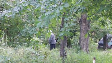 Сегодня, 13 июля, с целью приведения территории в надлежащее санитарное состояние в Кировском внутригородском районе города Макеевки силами Макеевского филиала УНКО «Единый региональный фонд по управлению многоквартирными...