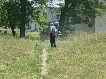 На территории Горняцкого внутригородского района продолжается активная кампания по борьбе с сорной и карантинной растительностью