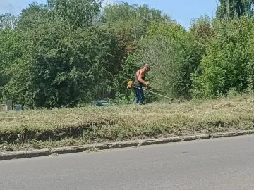 На территории Горняцкого внутригородского района продолжается активная кампания по борьбе с сорной и карантинной растительностью