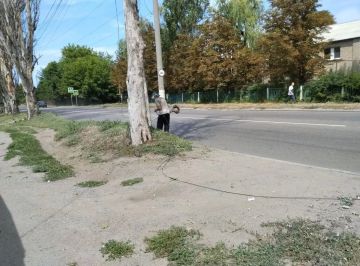 Сегодня, 23 июля в Червоногвардейском районе прошла благотворительная акция «Маленькие добрые дела», чтобы сделать территорию района уютнее и комфортнее для жителей