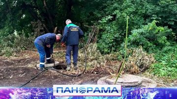 ������ ��� �����������: ������ ����������� � ��������