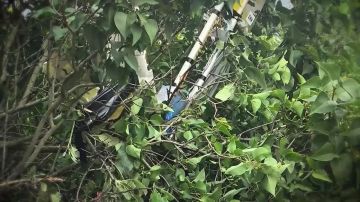 ���������� ����������� "���������", ������ �������� ������ ��� ���������