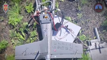�������� ������ �������� � ���������� �������� �������� �� ������ ������������� 138 ���������������� ���� �� ������� ����������