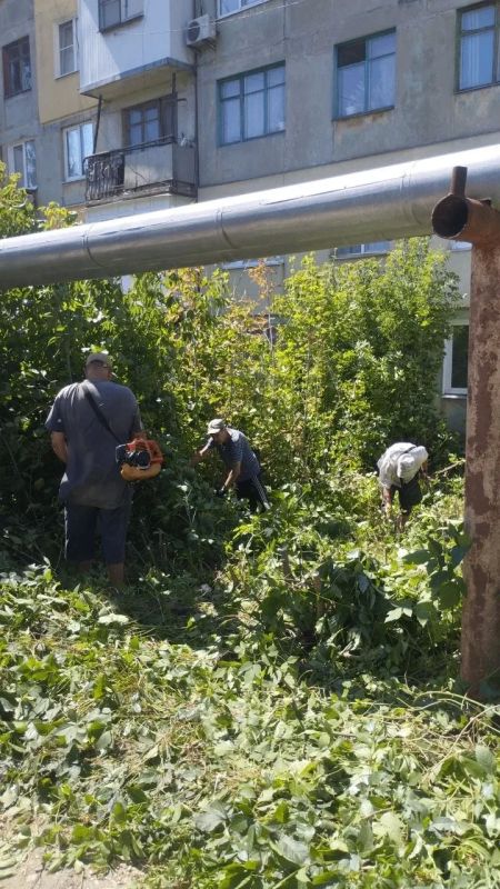 В Центрально-Городском внутригородском районе в рамках акции «Маленькие добрые дела» при непосредственной помощи активистов ПО 566, 567 проведена работа по покосу сорных и карантинных трав и по обрезке кустов и поросли по...