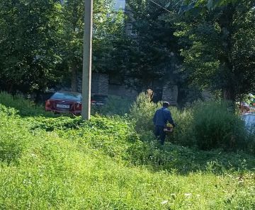 Сегодня, 20 августа, с целью приведения территории в надлежащее санитарное состояние в Кировском внутригородском районе города Макеевки силами Макеевского филиала НКО «ЕДИНЫЙ РЕГИОНАЛЬНЫЙ ФОНД ПО УПРАВЛЕНИЮ МНОГОКВАРТИРНЫМИ...