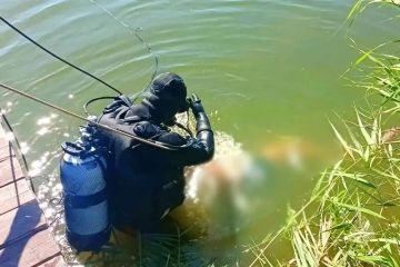 � �������� �� ������ ���������� ��������� �������