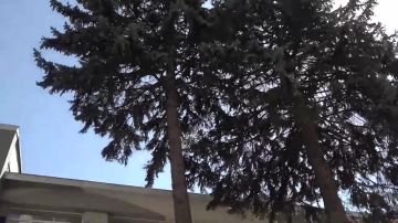 Александр Подгорный: Качественное образование – основа будущего нашей Республики, и мы последовательно работаем над тем, чтобы каждая школа отвечала современным стандартам: строятся новые здания, обновляется инфраструктура...