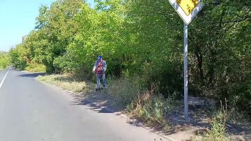С целью приведения территории в надлежащее санитарное состояние силами Управы Кировского внутригородского района Администрации городского округа Макеевка проведены работы по покосу сорных и карантинных на придорожном газоне...