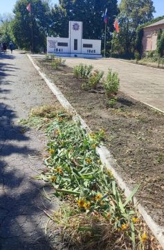 В Советском внутригородском районе городского округа Макеевка активисты Единой России приняли участие в акции «Чистый обелиск»