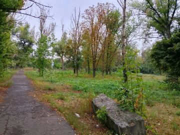 Сегодня, 15 сентября, в Кировском внутригородском районе города Макеевки силами МУП АГМ «Перспектива» ведутся работы по благоустройству сквера Комсомольский по ул. Депутатской. Проводятся мероприятия по ликвидации самосейной...