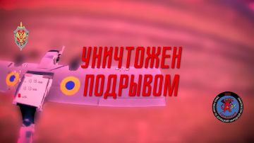 Подразделение "Горыныч" Донецкого Управления ФСБ уничтожило 41 вражеский дрон над Донецком и Макеевкой во время выборов депутатов Государственной Думы России