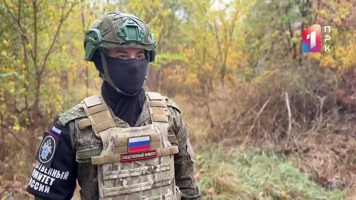 За прошедшую неделю следователями СК России зафиксированы преступления вооруженных формирований Украины, совершенные в отношении мирного населения ДНР